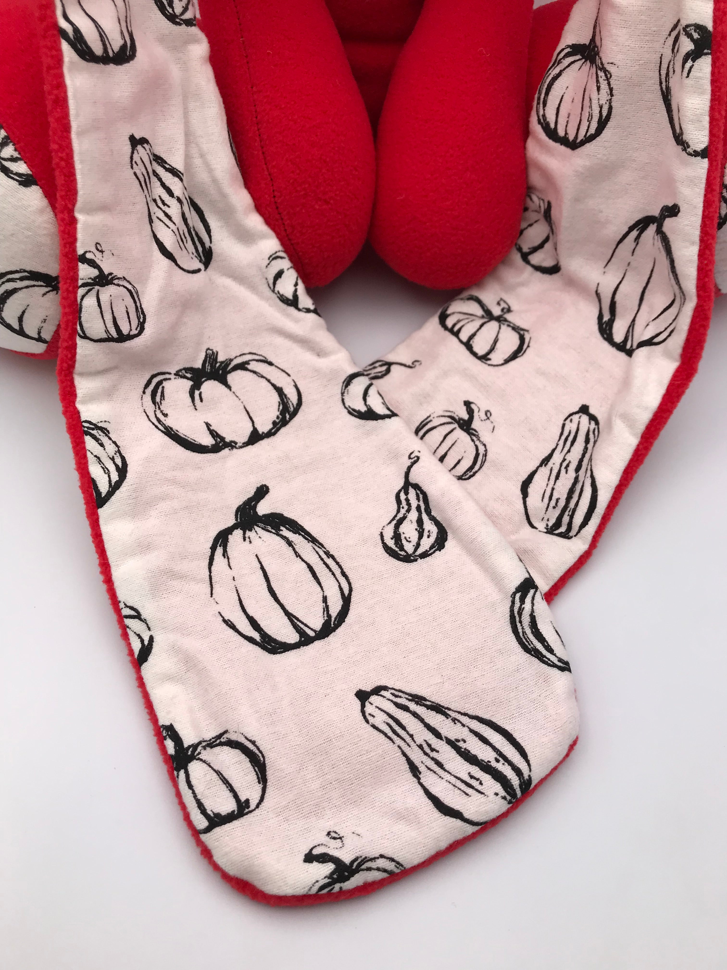 Red Cabbit with squash
