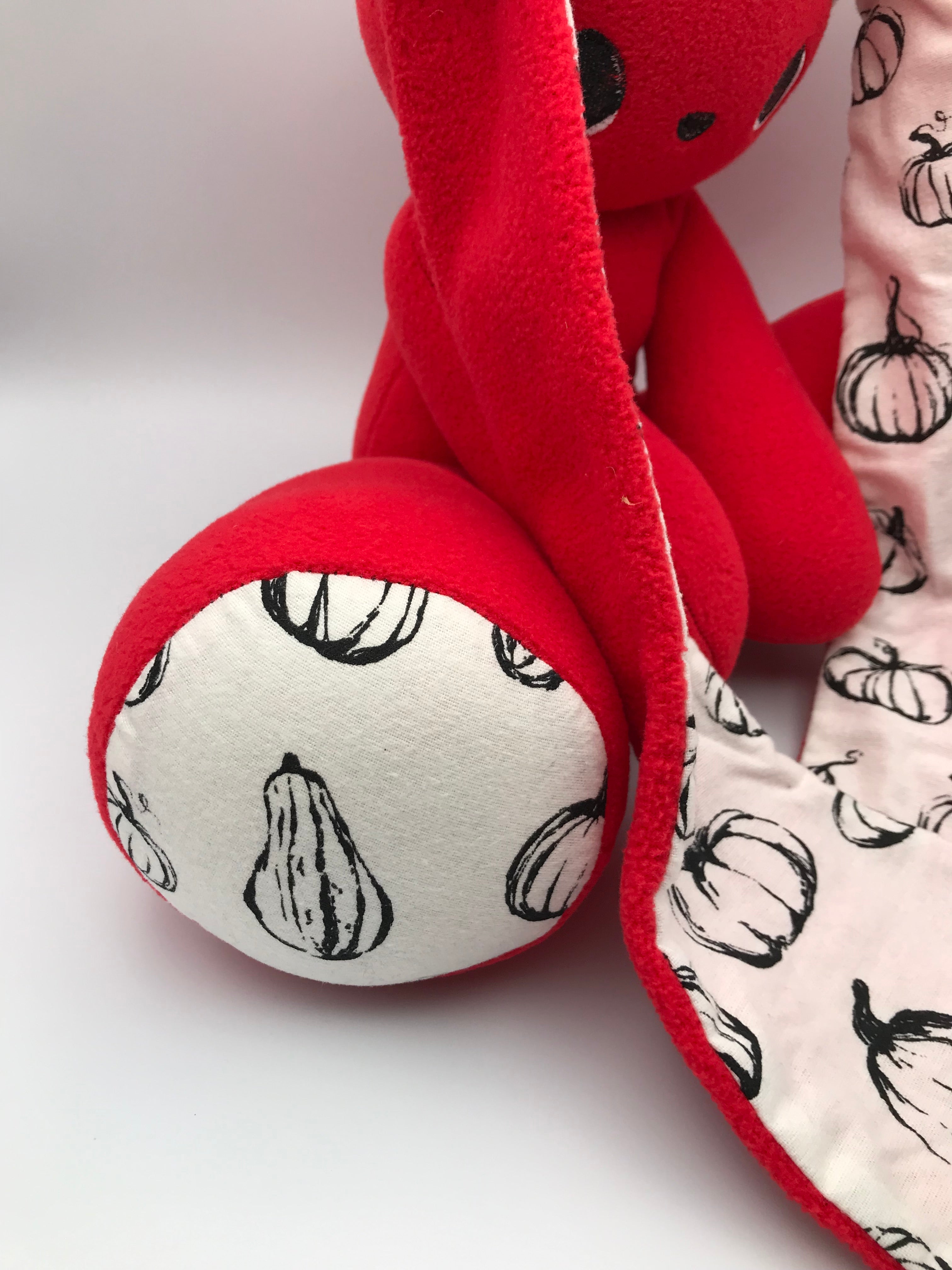Red Cabbit with squash
