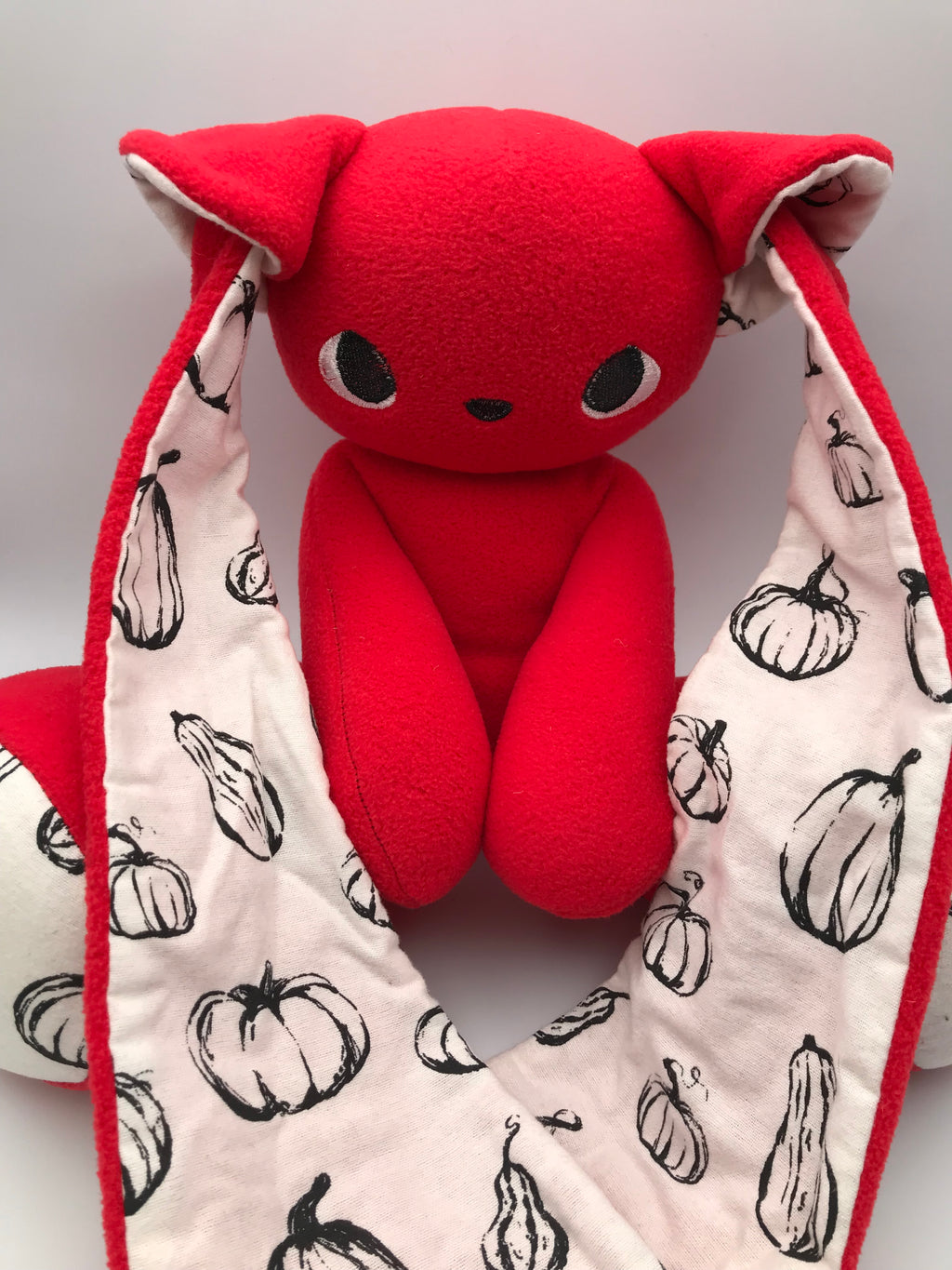Red Cabbit with squash